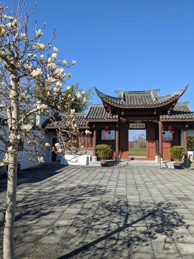 High Point - Next To Chinese Garden Hébergement de vacances Seattle